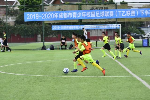 成都警方发布黑恶势力打击典型案例